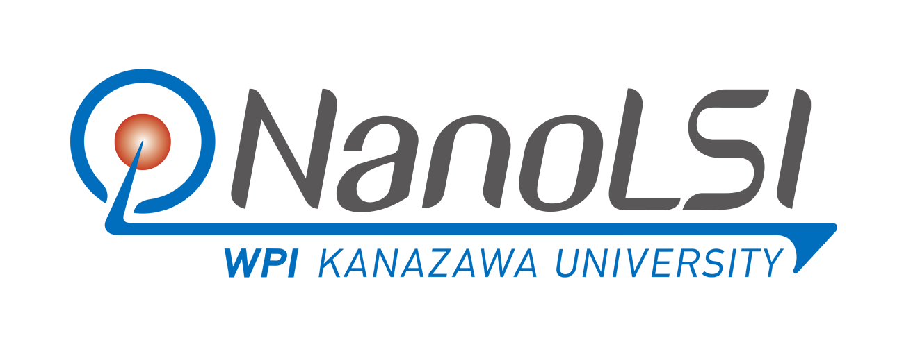 NanoLSI